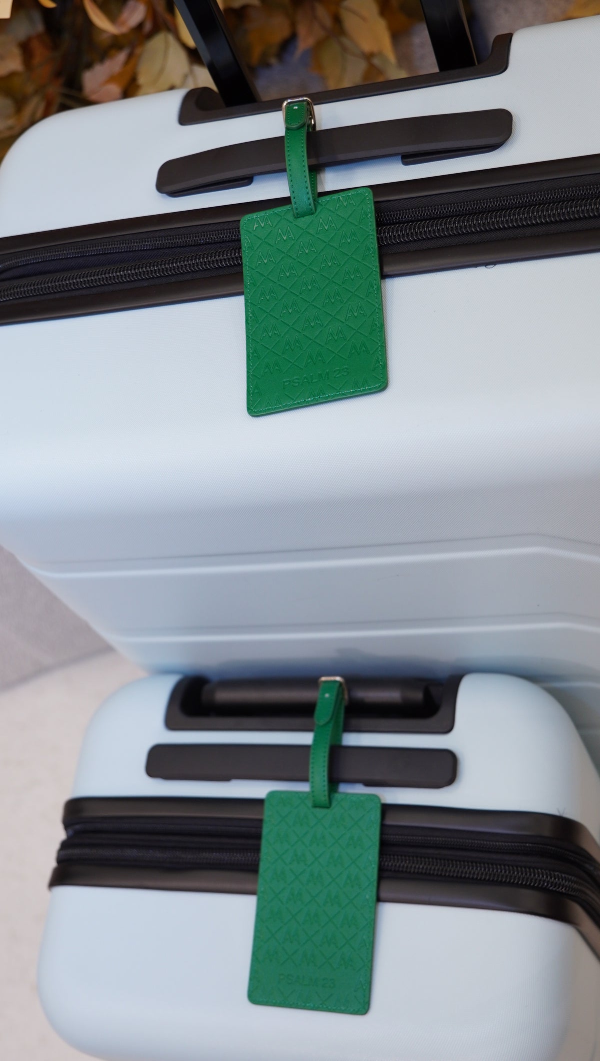 Two light blue hard-shell suitcases stacked vertically, each with a textured green luggage tag attached to a black zipper closure.